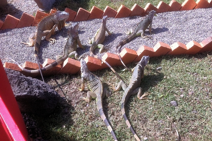 Mexico 123.jpg